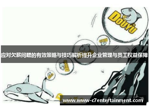 应对欠薪问题的有效策略与技巧解析提升企业管理与员工权益保障