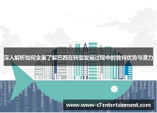 深入解析如何全面了解巴西在转型发展过程中的独特优势与潜力