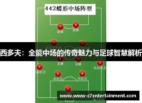 西多夫：全能中场的传奇魅力与足球智慧解析