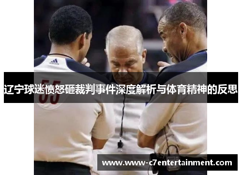 辽宁球迷愤怒砸裁判事件深度解析与体育精神的反思 辽宁球迷愤怒砸裁判事件深度解析与体育精神的反思