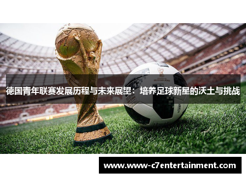 德国青年联赛发展历程与未来展望：培养足球新星的沃土与挑战