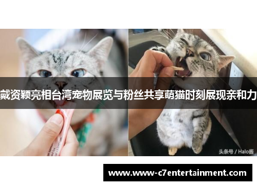 戴资颖亮相台湾宠物展览与粉丝共享萌猫时刻展现亲和力 戴资颖亮相台湾宠物展览与粉丝共享萌猫时刻展现亲和力