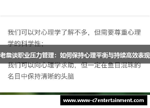老詹谈职业压力管理:如何保持心理平衡与持续高效表现 老詹谈职业压力管理:如何保持心理平衡与持续高效表现
